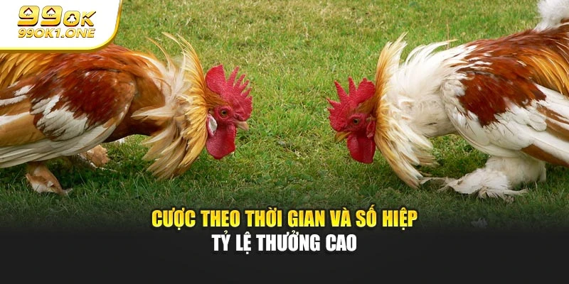 Cược theo thời gian và số hiệp tỷ lệ thưởng cao