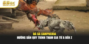 Đá Gà Campuchia - Hướng Dẫn Quy Trình Tham Gia Từ A Đến Z