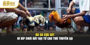 Đá Gà Cựa Sắt - Bí Kíp Chơi Bất Bại Từ Cao Thủ Truyền Lại