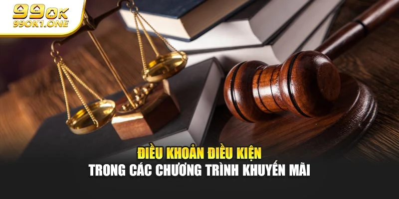 Điều khoản điều kiện trong các chương trình khuyến mãi
