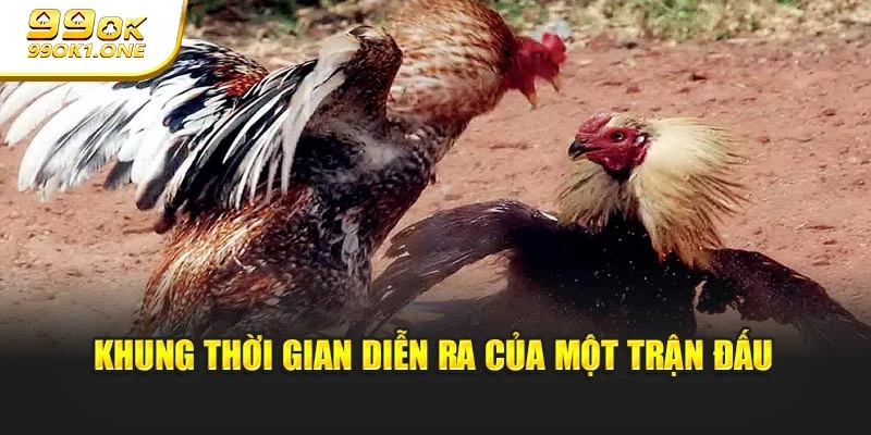 Khung thời gian diễn ra của một trận đấu