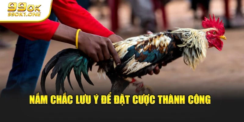 Nắm chắc lưu ý để đặt cược thành công