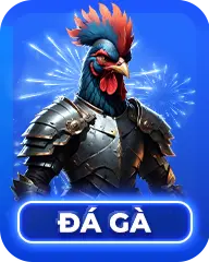đá gà 99ok