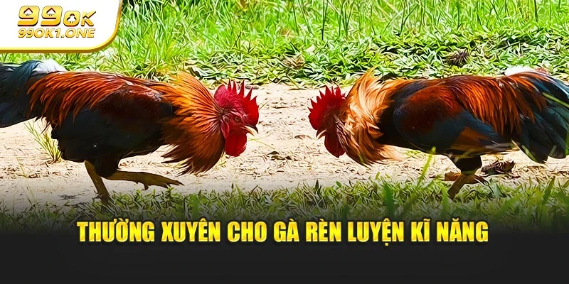 Thường xuyên cho gà rèn luyện kĩ năng