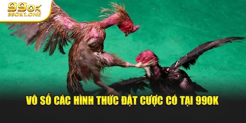 Vô số các hình thức đặt cược có tại 99OK
